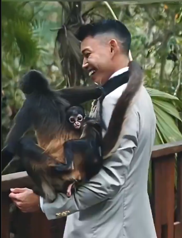 Mr-Software🥲 tweet media