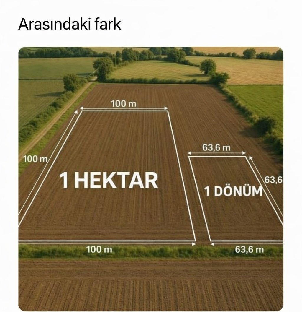 lαrα✨️ tweet media