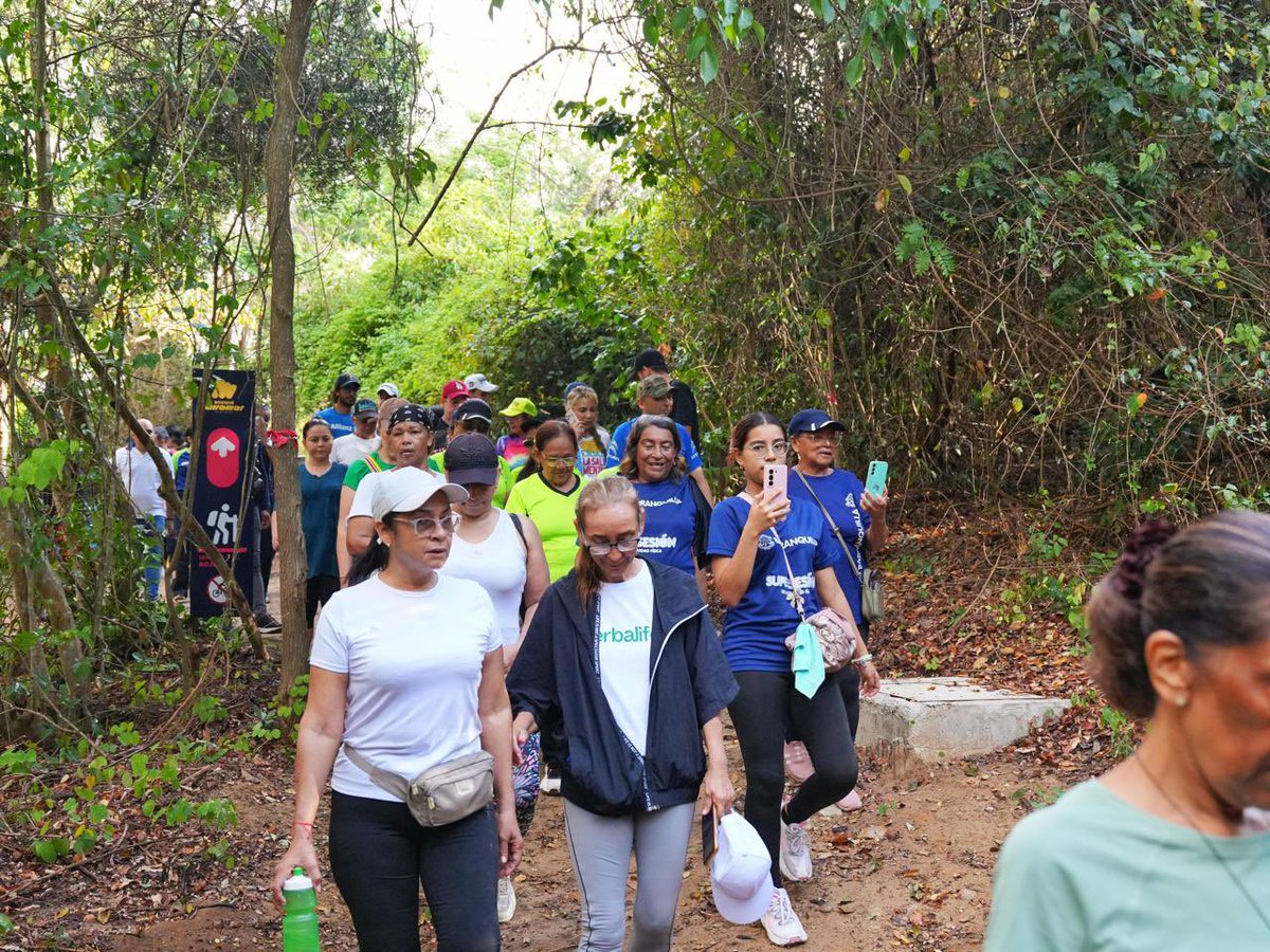 Ana Maria Aljure tweet media