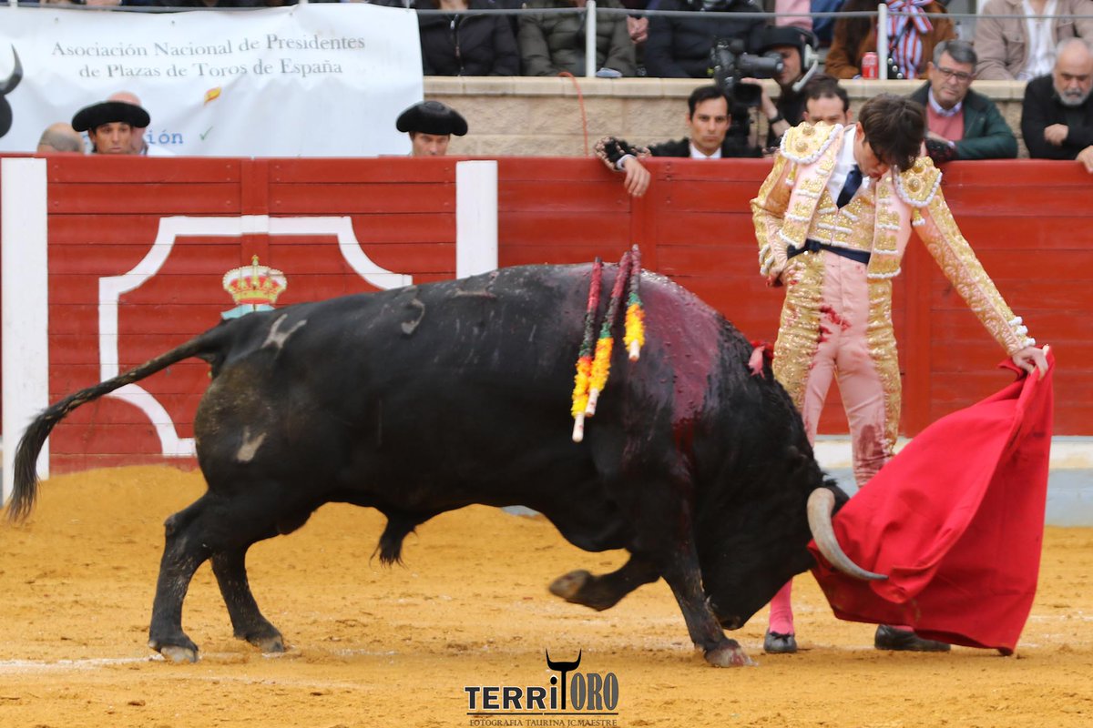MundilloTaurino's tweet photo. Ovación para Adrián de Torres en el tercero.
@MundilloTaurino @Villasecatoros @MAESTREJc
#villasecadelasagra #cuadri https://t.co/tYlN5UKu6I