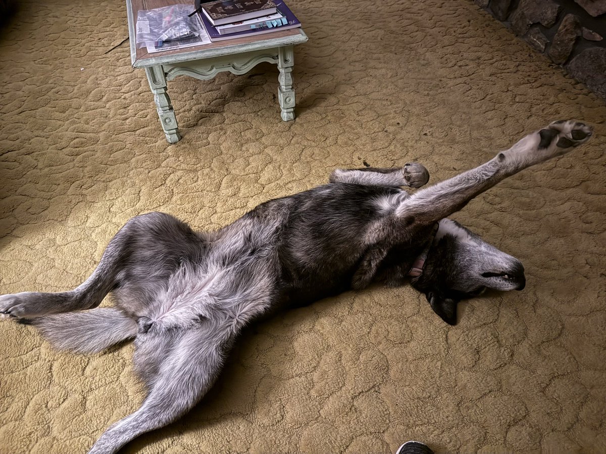 Maria West tweet media