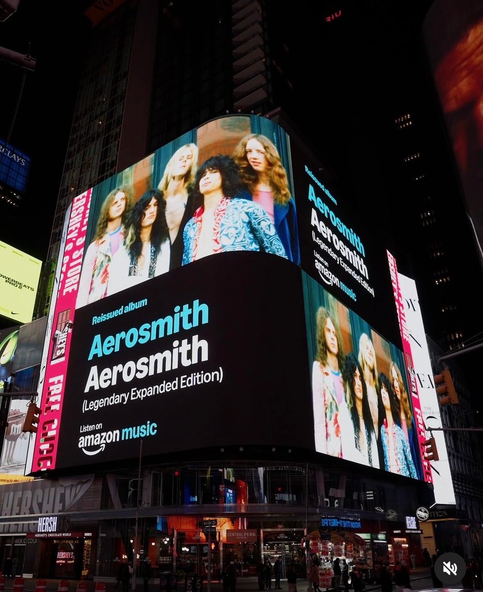 Tom Hamilton tweet media