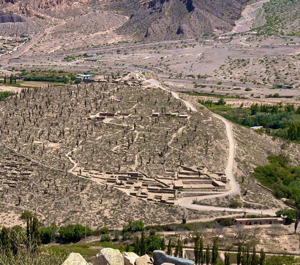 Феерическое тюленеводство tweet media