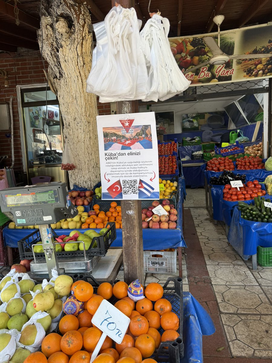 zeynep altıok akatlı tweet media