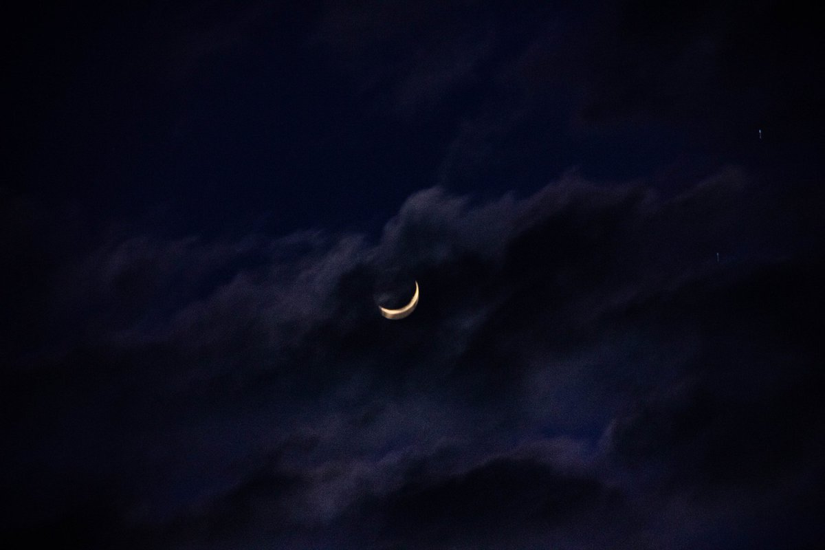 alaska_cw tweet media