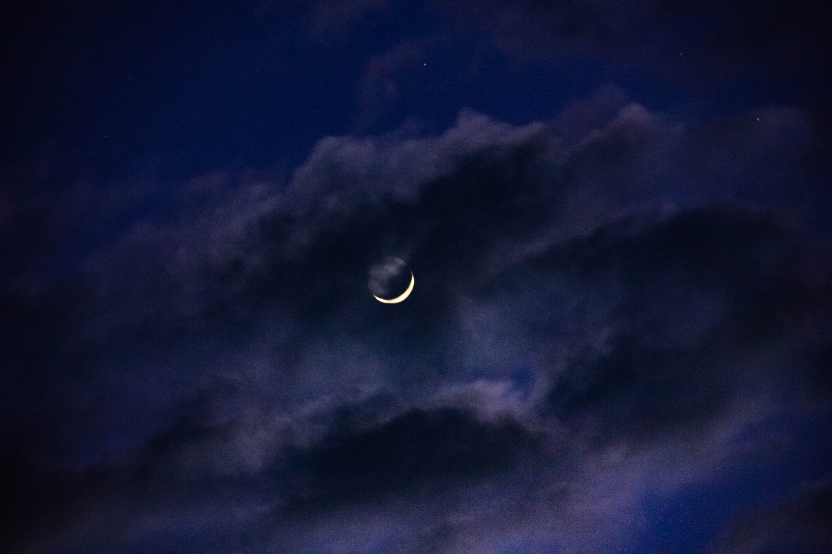 alaska_cw tweet media