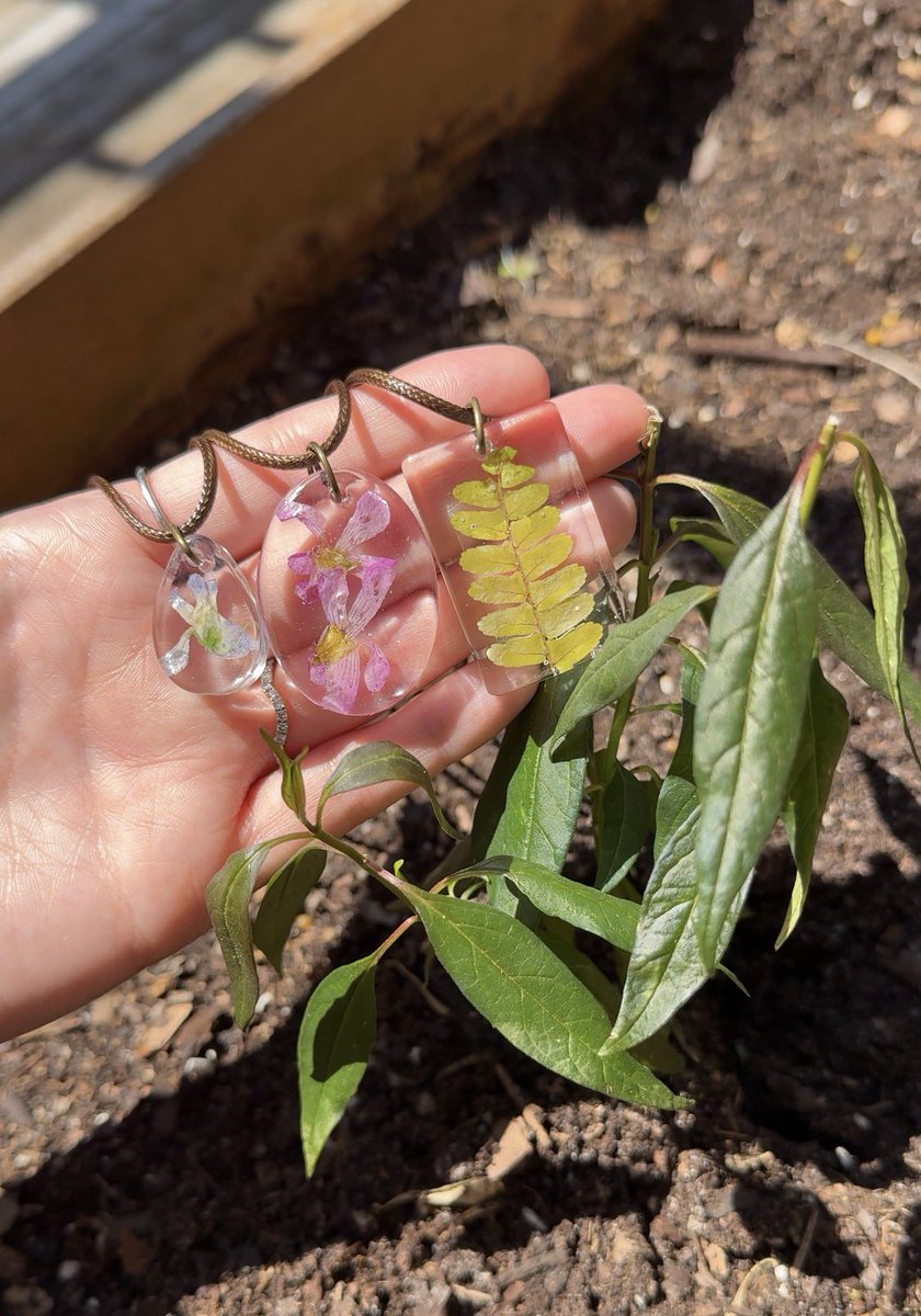 bugs836's tweet photo. Just wanted to give a super shout out to those who purchased the handmade necklaces I made last drop, it helped me start up my butterfly garden.

With some of the proceeds I planted some milkweed to help out the butterfly population!

We dropped these 3 beauties yesterday and they are available in my shop now. Feel free to check the comments for the website where you can get yours! Each necklaces comes with the matching framed macro shot!