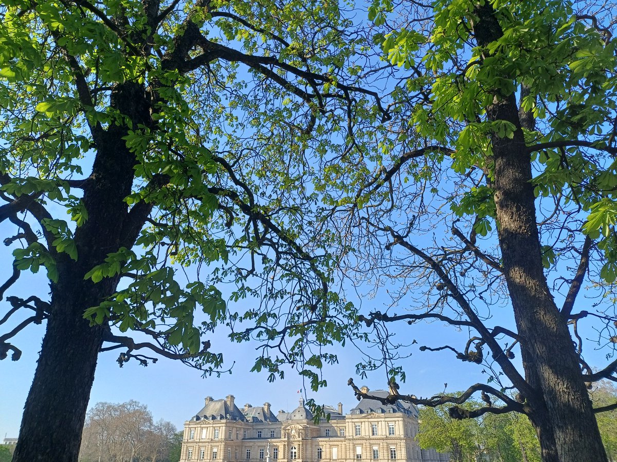 Dominique Ancelet-Netter tweet media