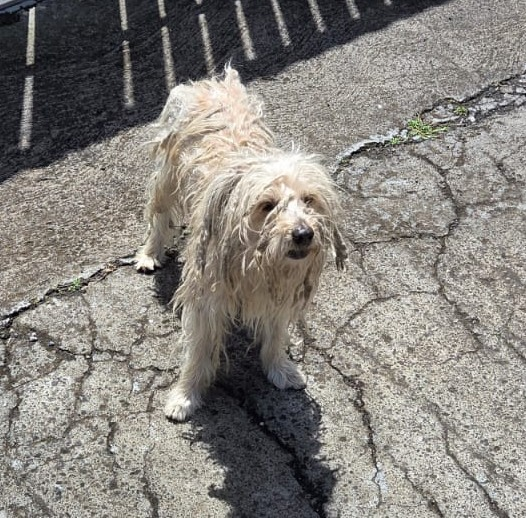 BRINDILLE85 💙🤍💔 🧡 tweet media