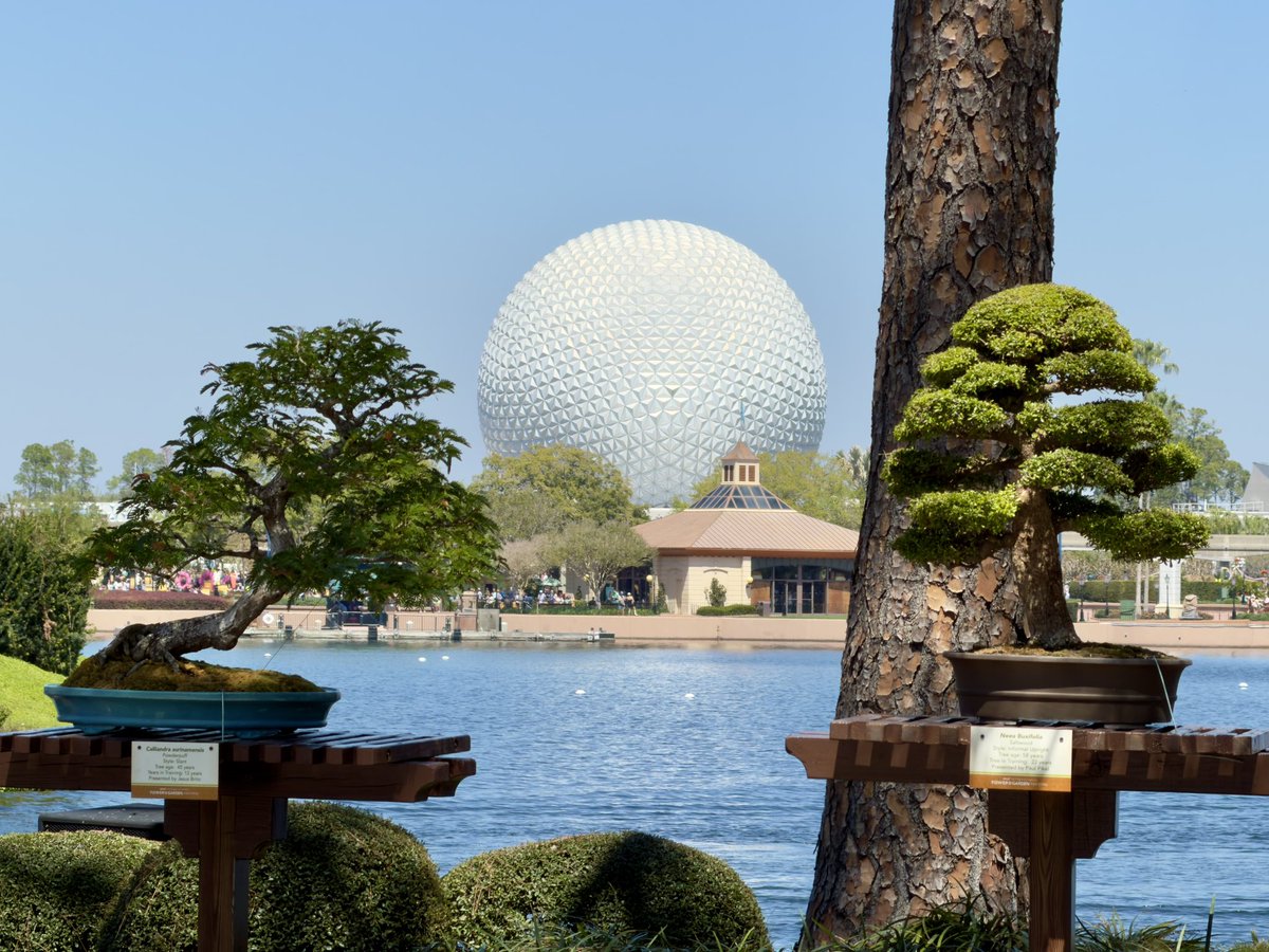 Derek Bell tweet media