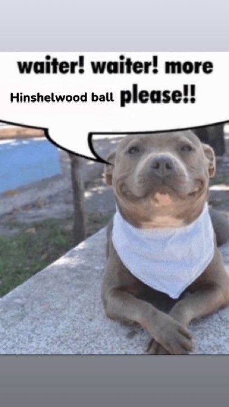 Noah BR Journo tweet media