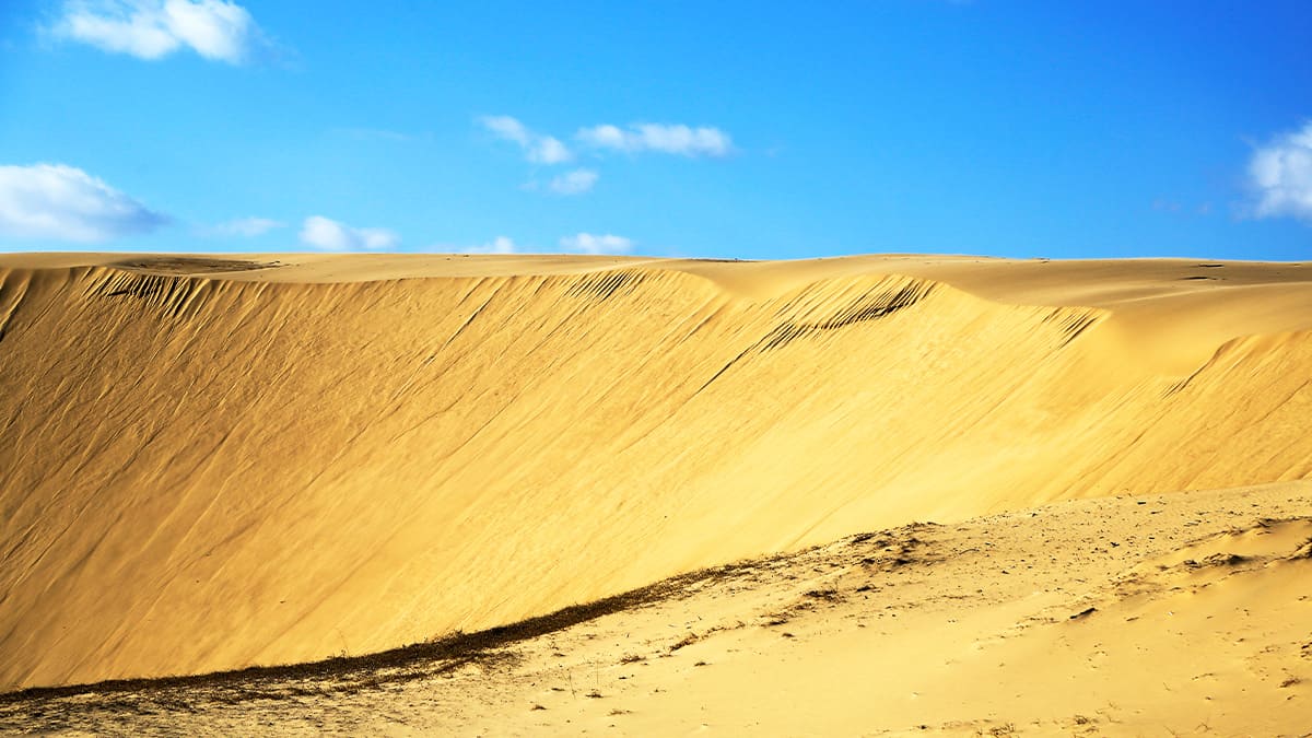 KAMP 캄프 tweet media