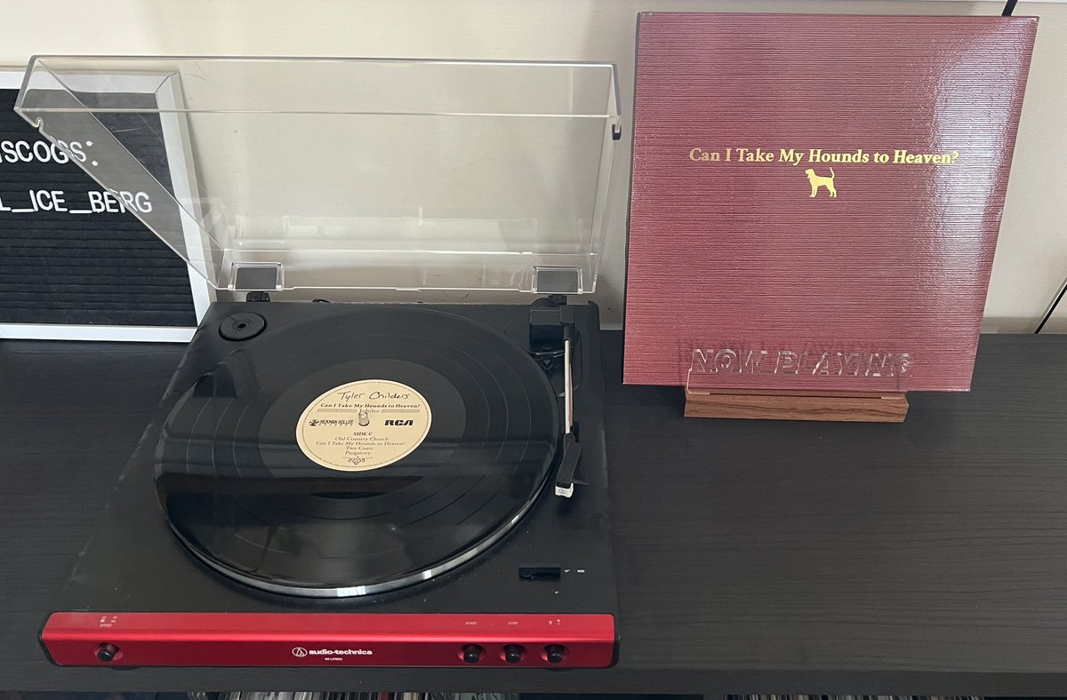 Adam Patrick tweet media