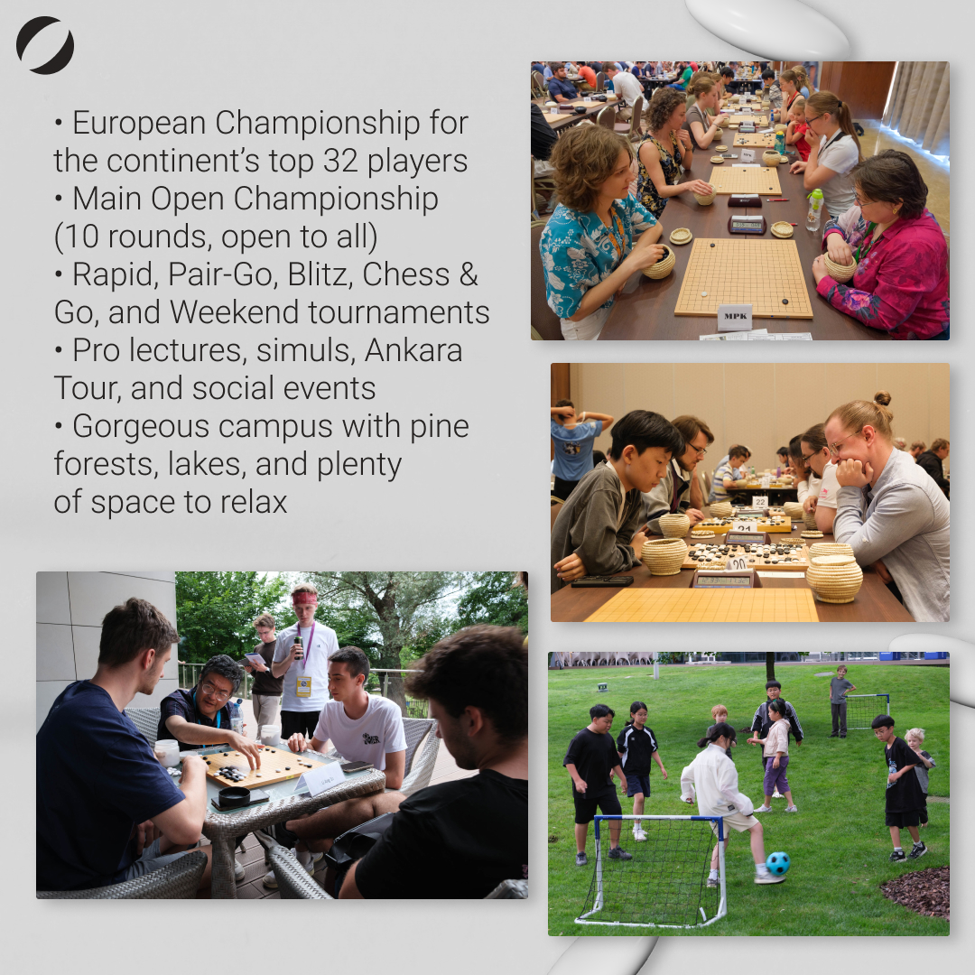 Go Magic tweet media