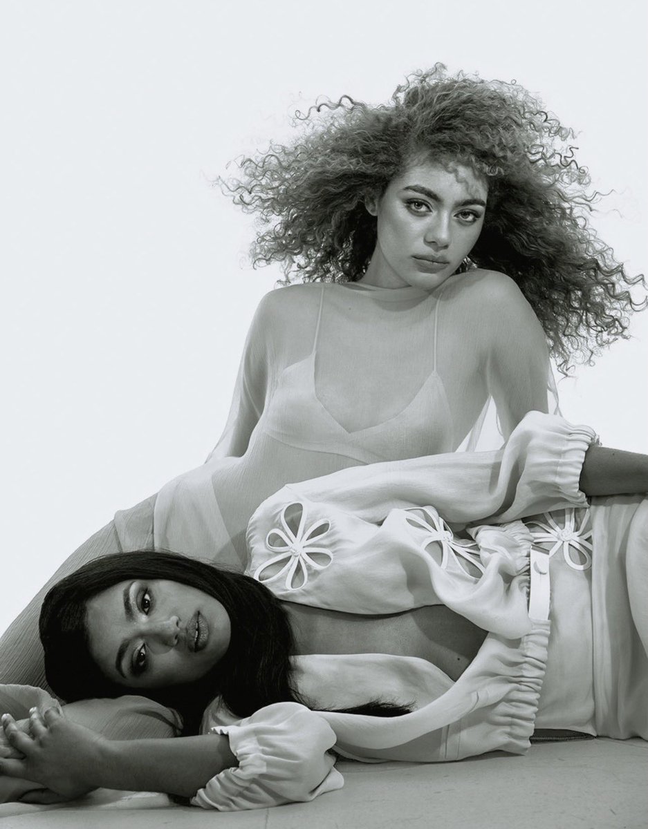 luz 🦭 tweet media