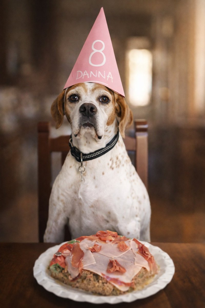 David Crespo 🇮🇨 tweet media