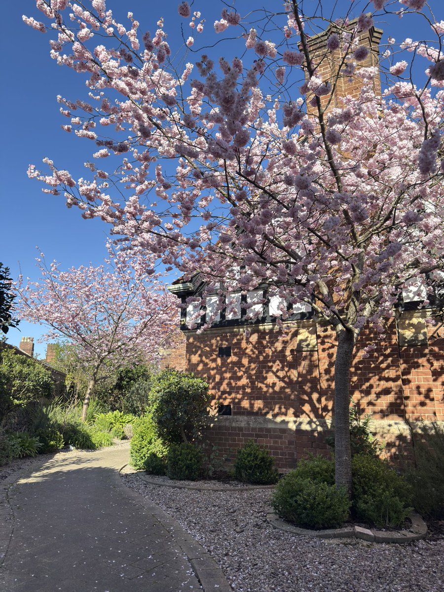 Exeter Daily tweet media