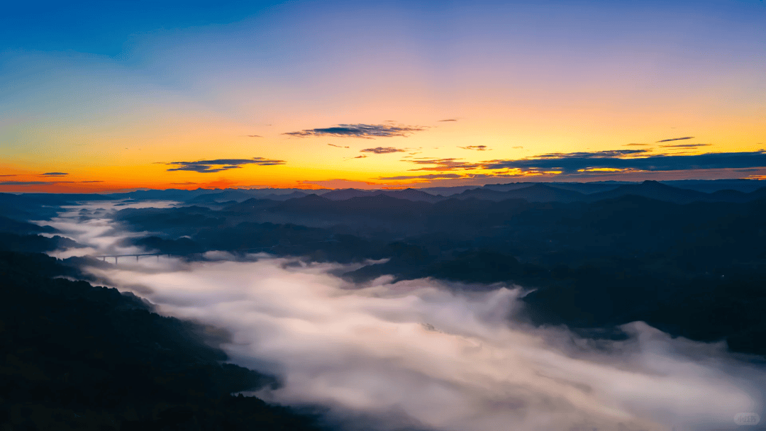 максим tweet media