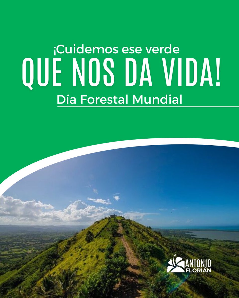 antonioflorian_'s tweet image. Hoy, en el Día Forestal Mundial, quiero invitarles a reflexionar. 

Proteger nuestros bosques no es un tema de "moda", es un tema de supervivencia nacional. Desde La Fuerza del Pueblo, reafirmamos nuestro compromiso con una política ambiental seria.

#AntonioFlorian #FP