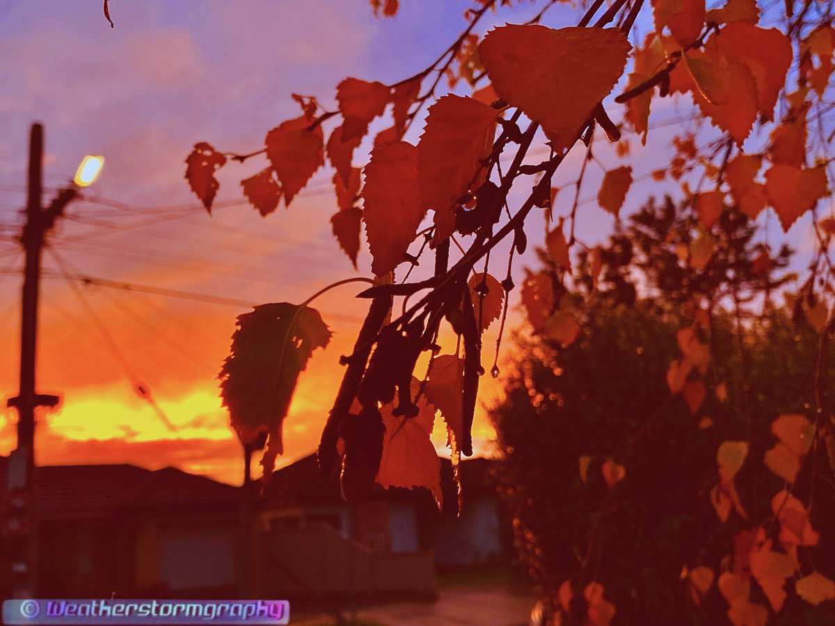 Weatherstormgraphy 2.0⛈️🌩️⚡️ tweet media