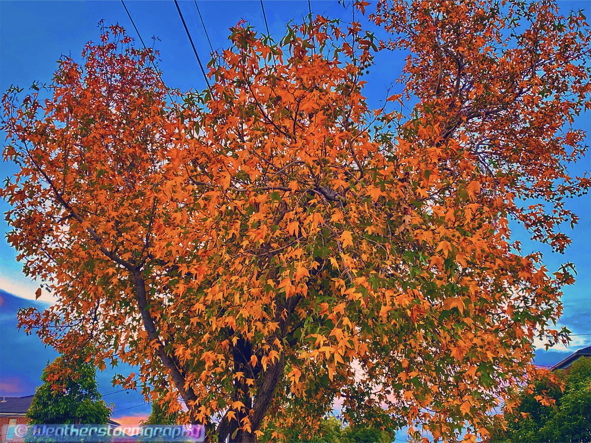 Weatherstormgraphy 2.0⛈️🌩️⚡️ tweet media