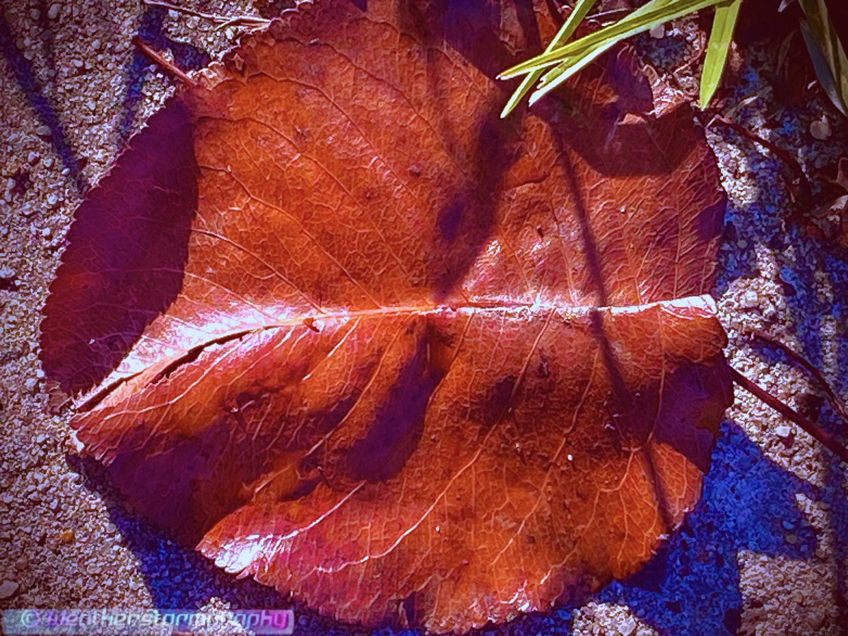 Weatherstormgraphy 2.0⛈️🌩️⚡️ tweet media