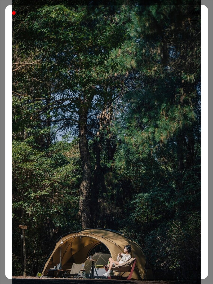 matthew rise tweet media