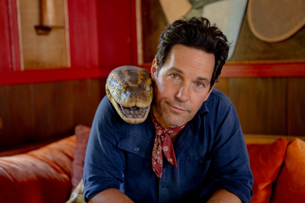 WEEKEND CINEMA tweet media