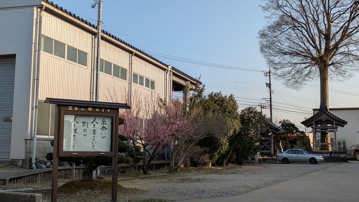 平永里恵(橋本)Hirae Rie パーカッション・打楽器・Percussion・マリンバ 富山 tweet media