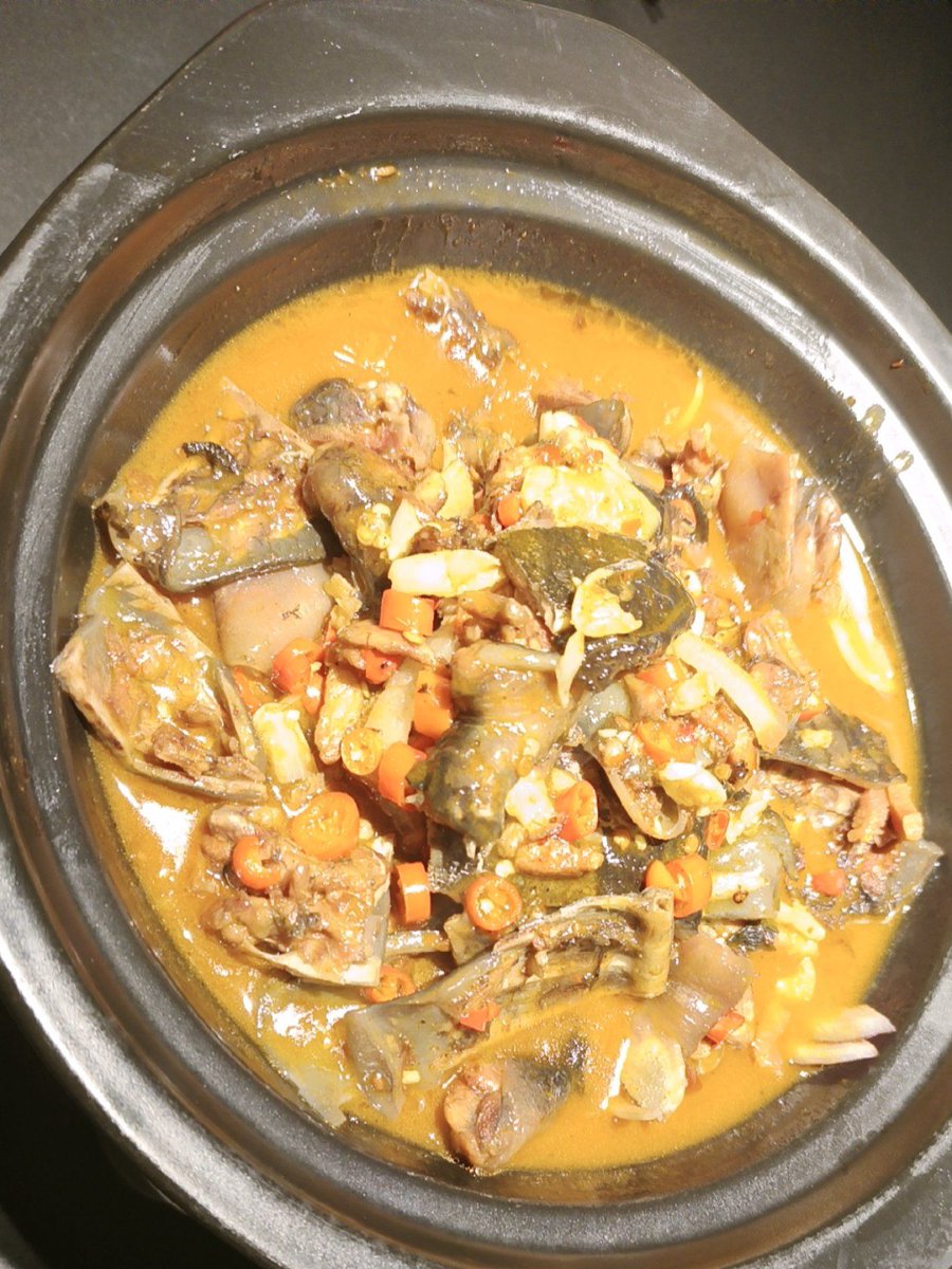 StarCaptainX tweet media