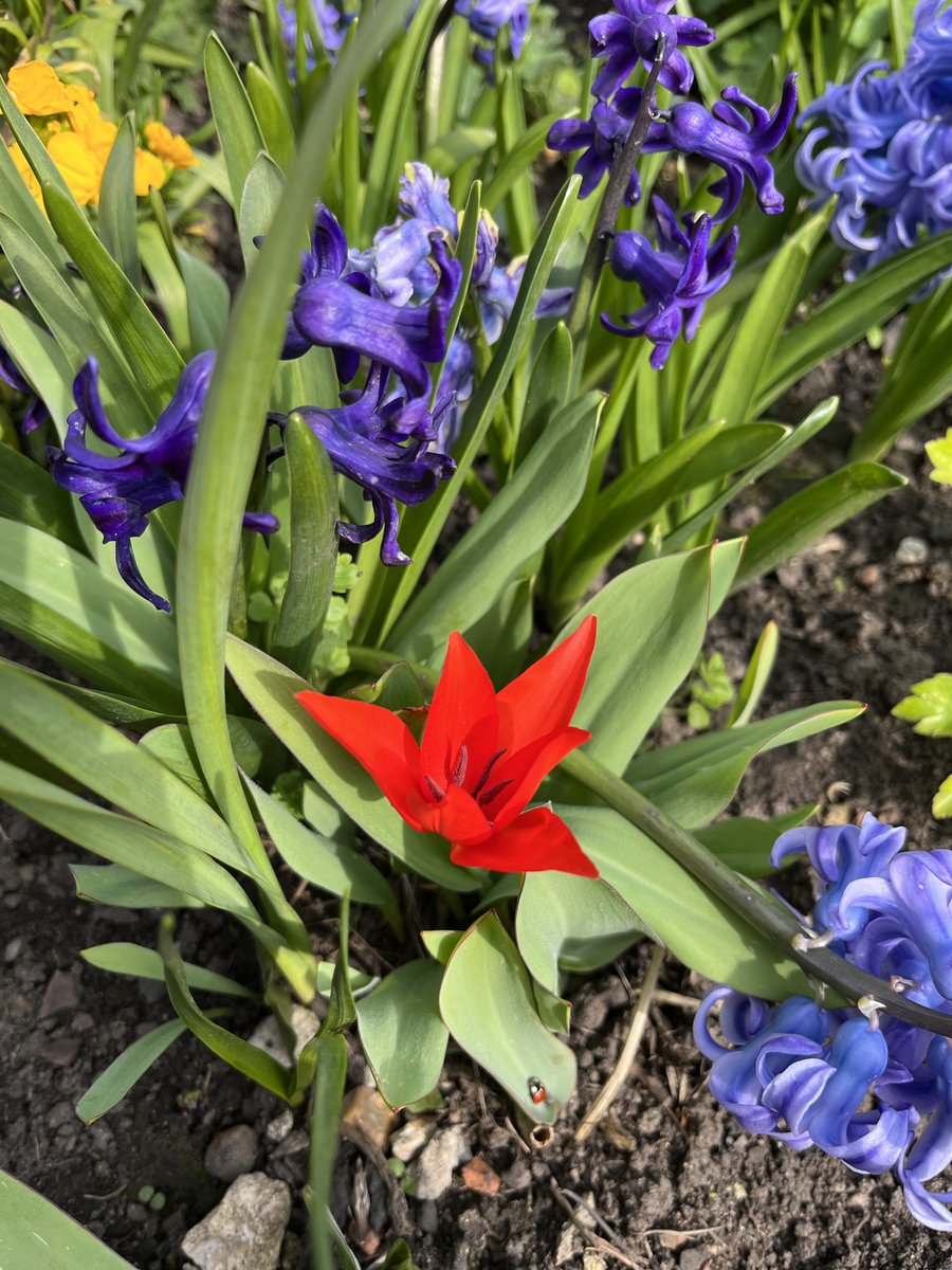 Mrs Smith's Cottage tweet media