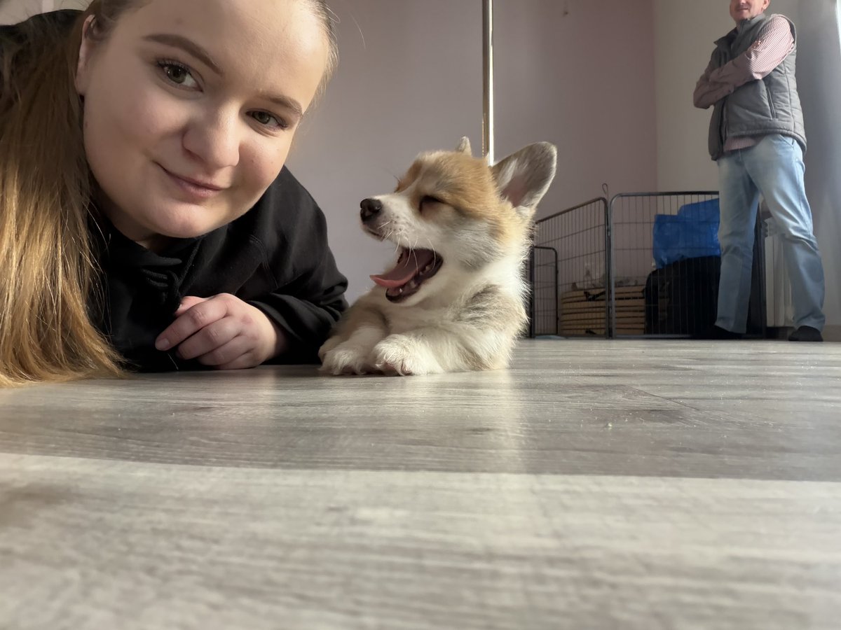 alex in her dnp era tweet media