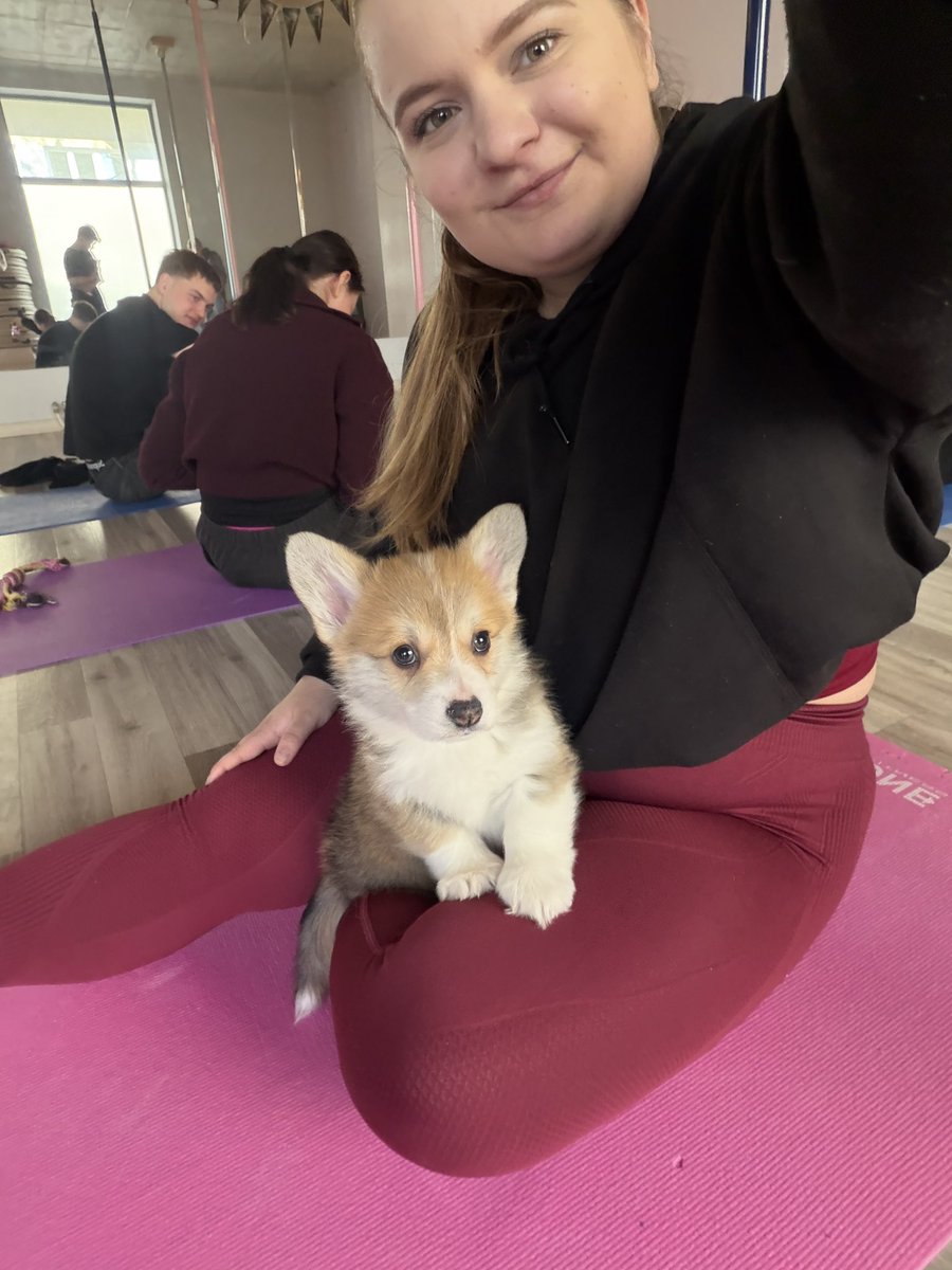 alex in her dnp era tweet media