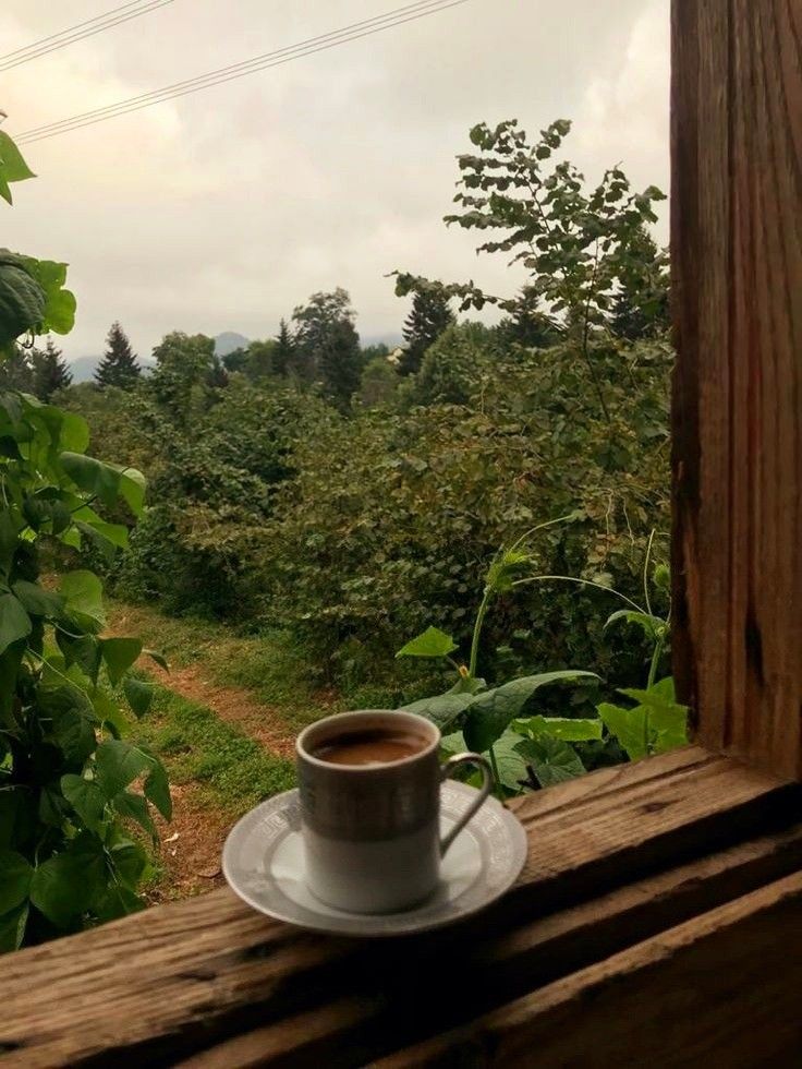 birteraphy's tweet photo. yağmur sesi, toprak kokusu ve kahve. https://t.co/7d1ZzYFM9S