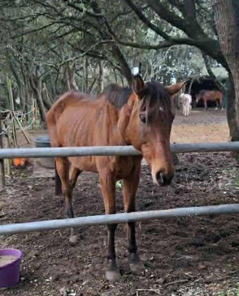 Gérard L tweet media