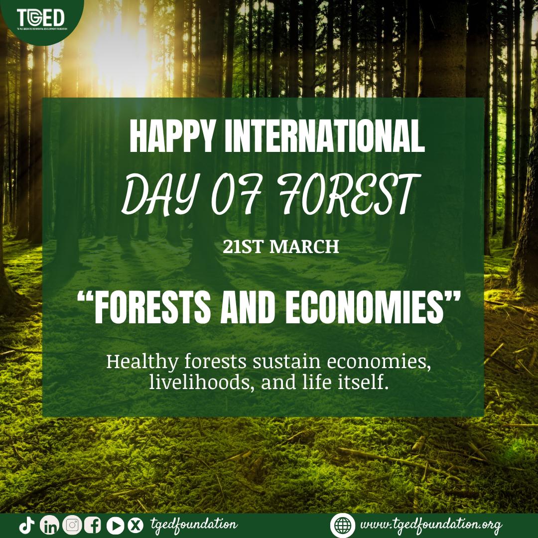 tgedfoundation's tweet photo. On this #InternationalDayofForests, it’s time to rethink how we value our natural world. Let’s remember that every small action we take today can help preserve the beauty and life they hold for generations to come.
#TGEDFoundation #InternationalForestDay2026 #TreesAreLife https://t.co/hK0WT37AUH