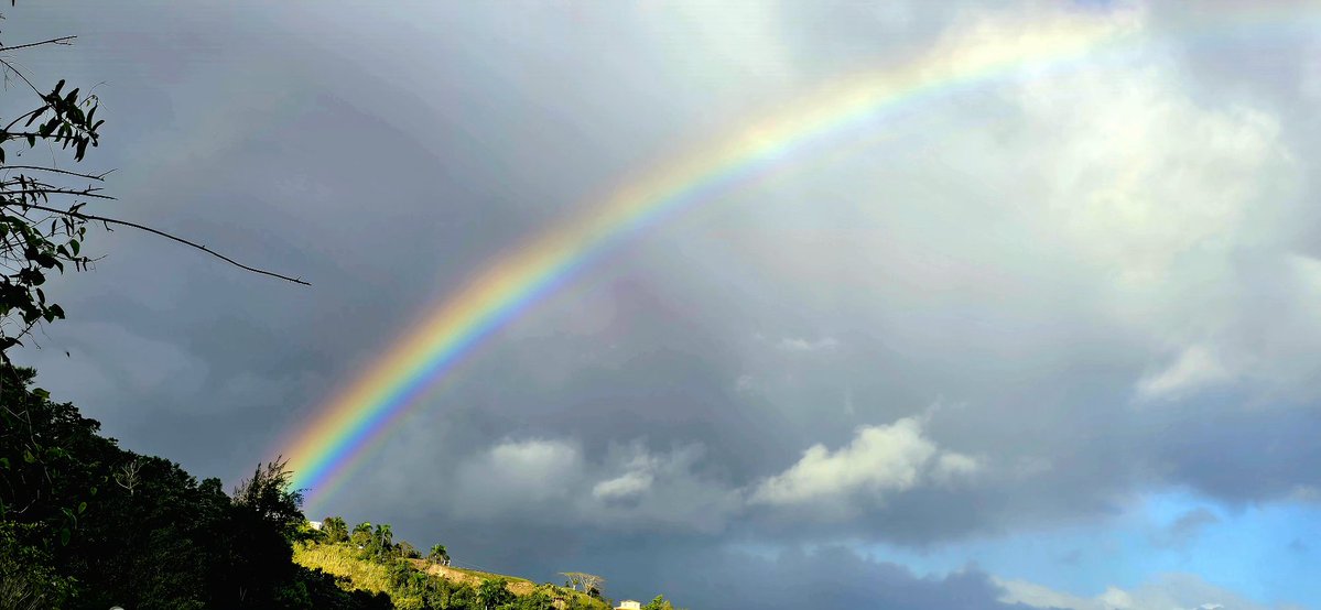 Norma Ortiz Rodriguez tweet media