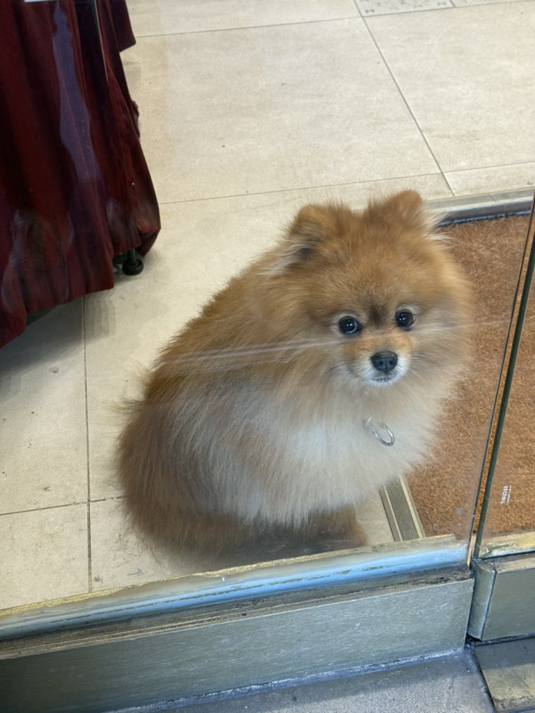 qq ★⋆⁺₊⋆☆ tweet media