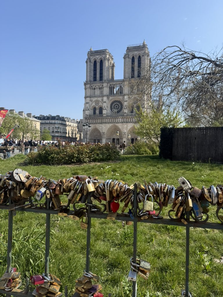 qq ★⋆⁺₊⋆☆ tweet media