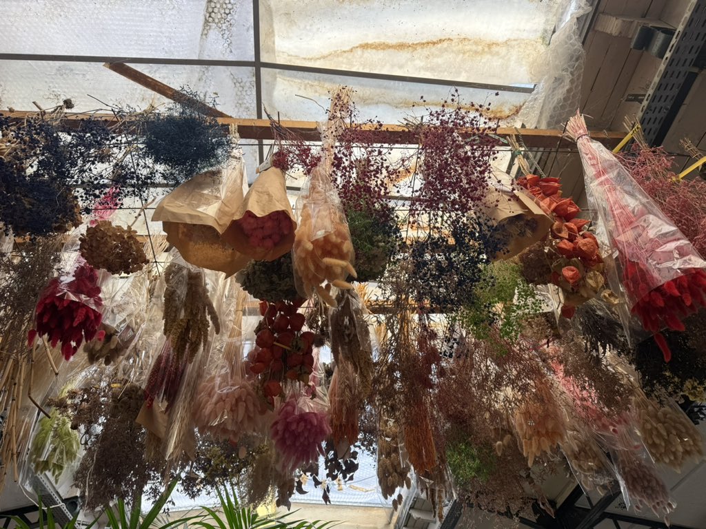 qq ★⋆⁺₊⋆☆ tweet media