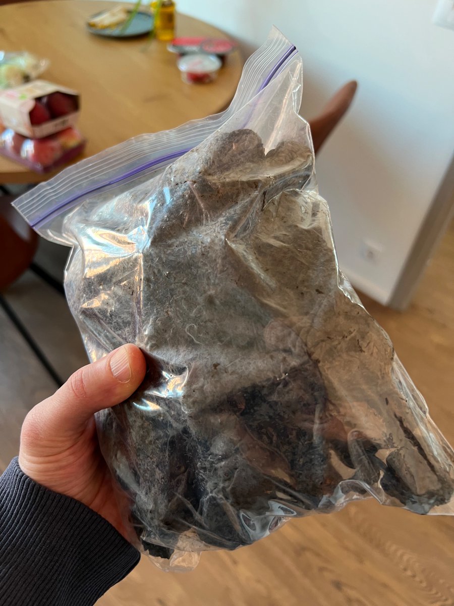 борода і радіовуха 🇺🇦 tweet media