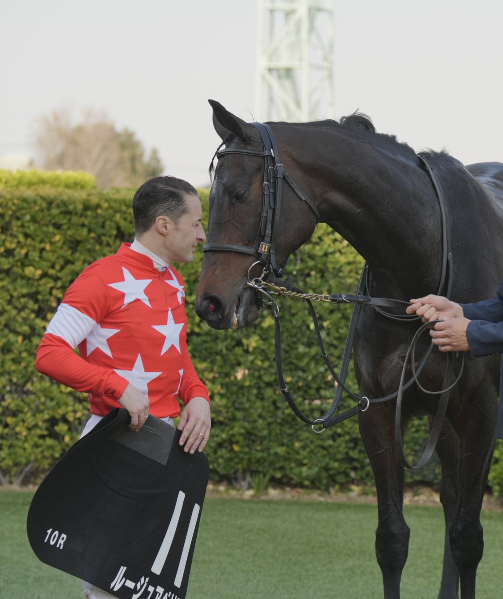 りょす🏇📷 tweet media