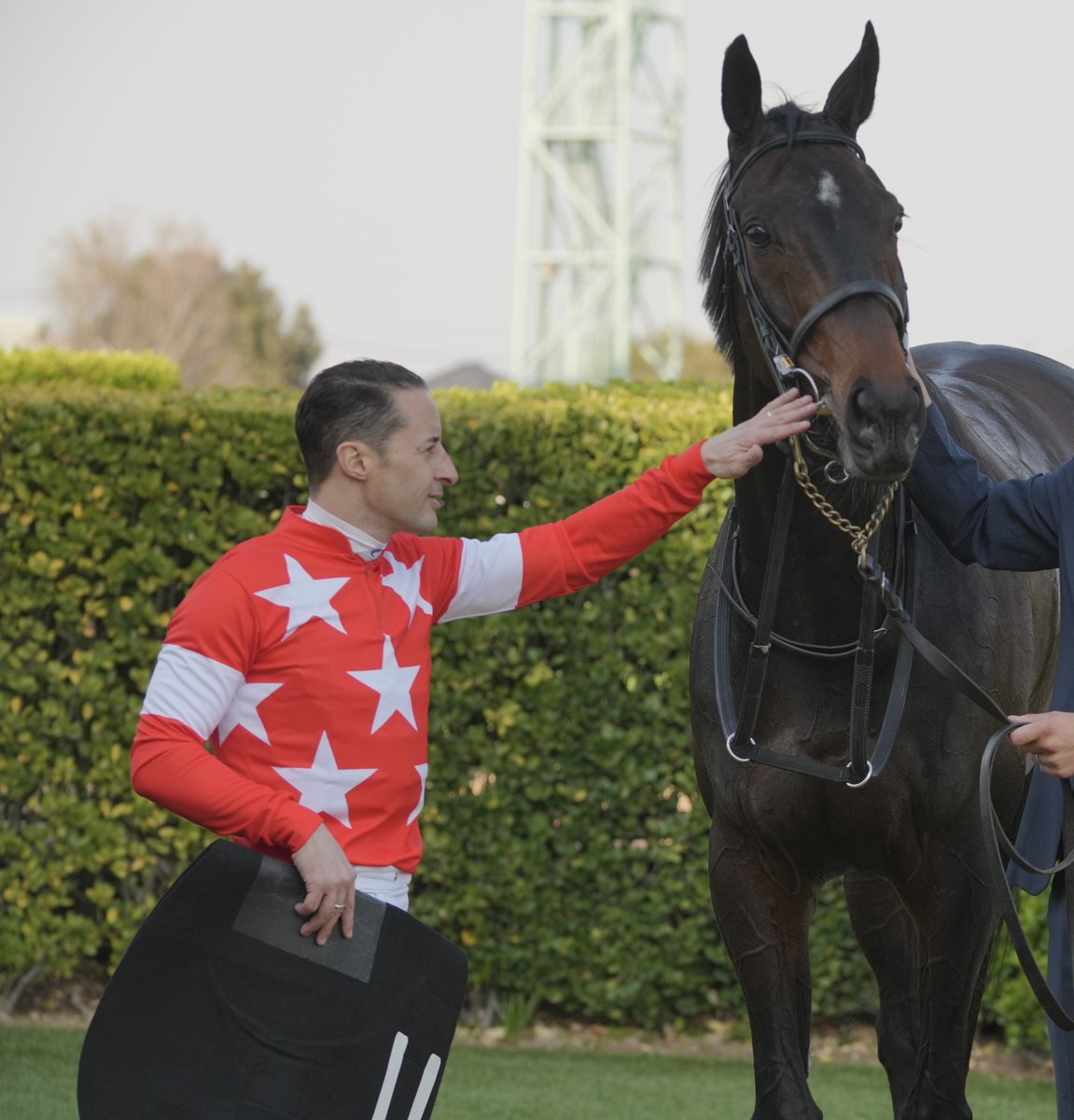 りょす🏇📷 tweet media