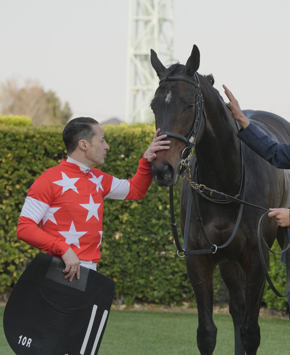 りょす🏇📷 tweet media