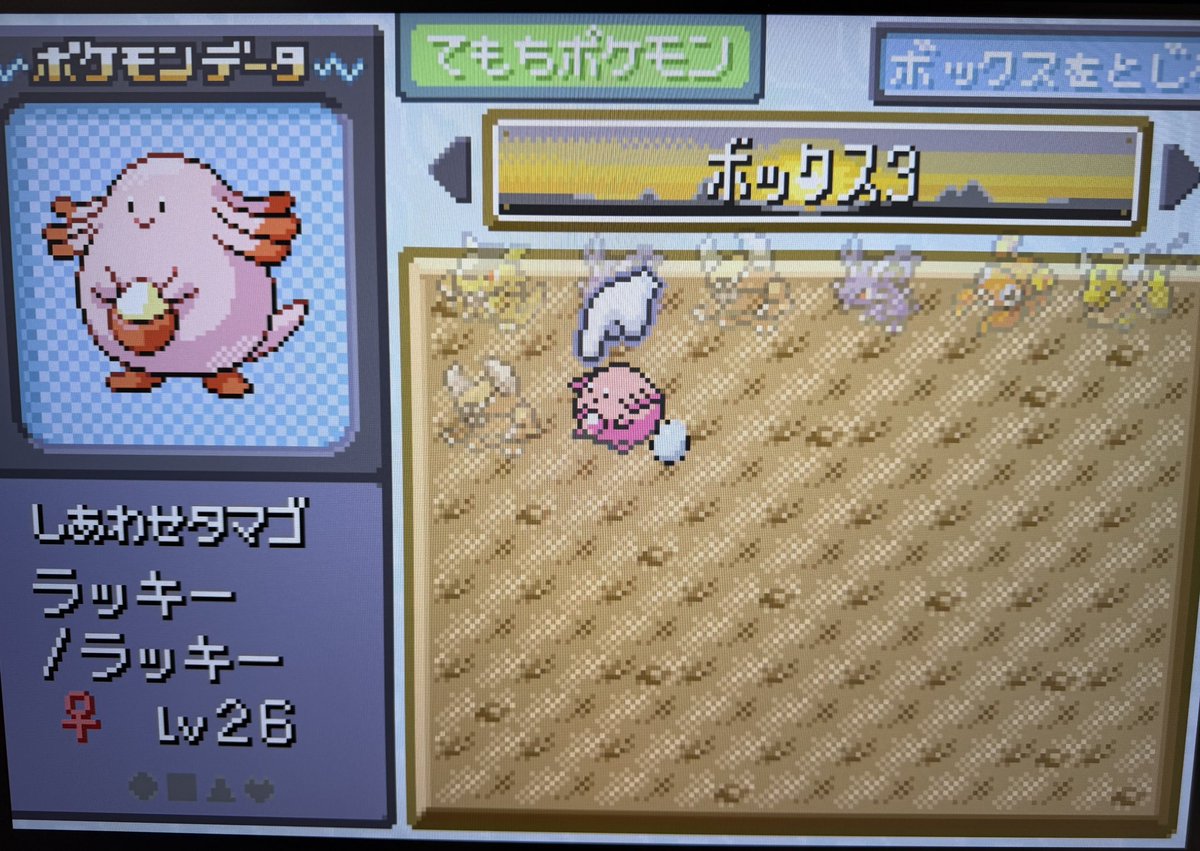 ゆー@まったり tweet media