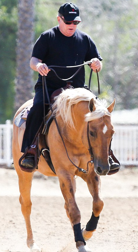 _bear_bull tweet media