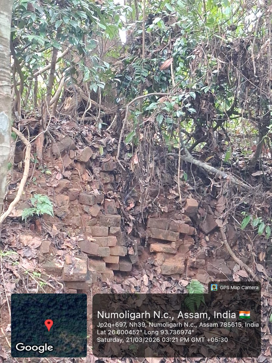 pranabjsarmahg1's tweet photo. We have (re) discovered something amazing inside deoporbot reserve forest.
Two water tanks which we think are from 16th century. These were the Tanks for which #kachari lost marangi to #Ahom.
@VedBorah @gogoideo @aboyobbhuyan @ATULBORA2 @Mrinal_MLA https://t.co/gKpnUUfziu