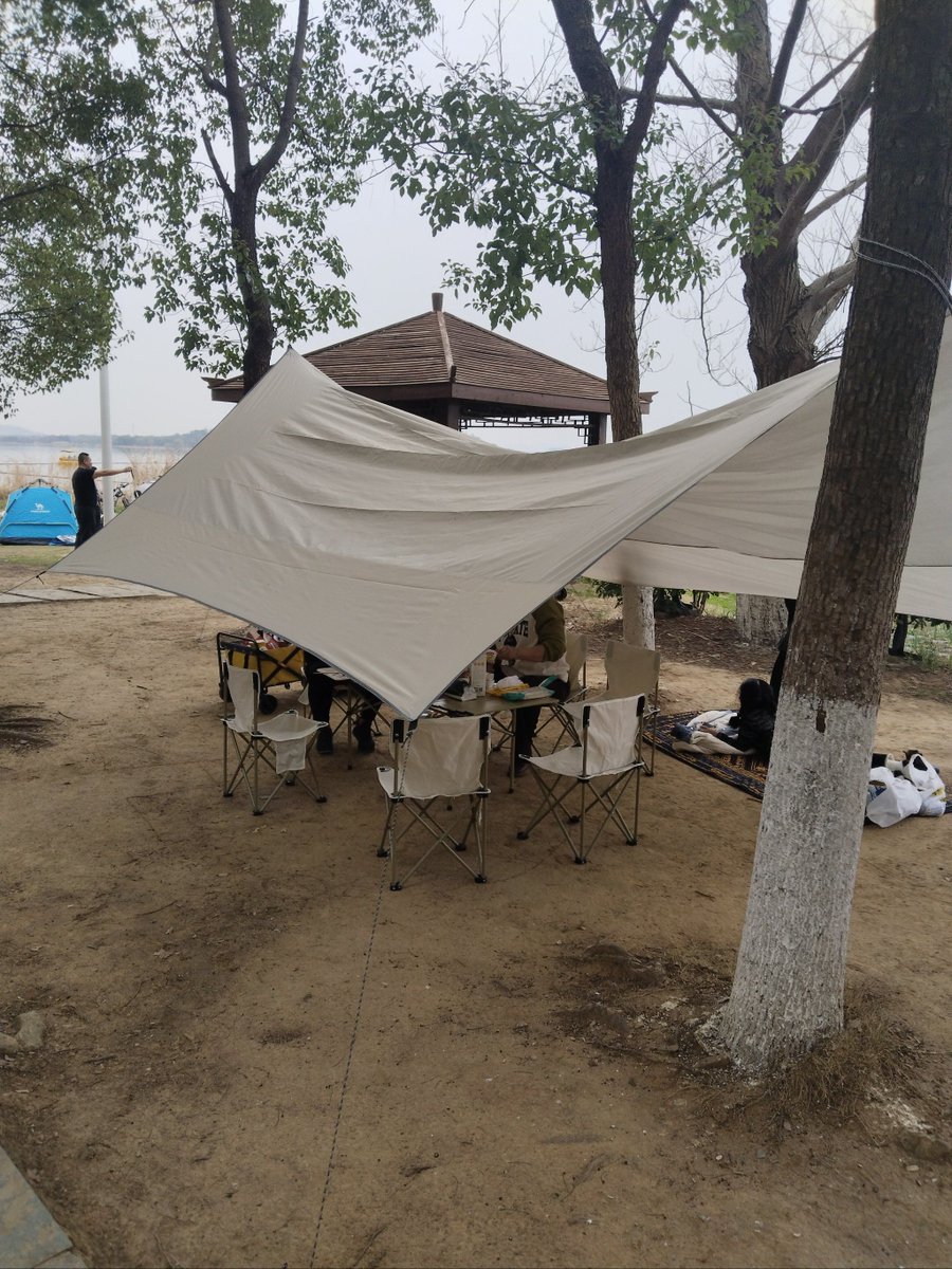 rawlyn chenoweth tweet media