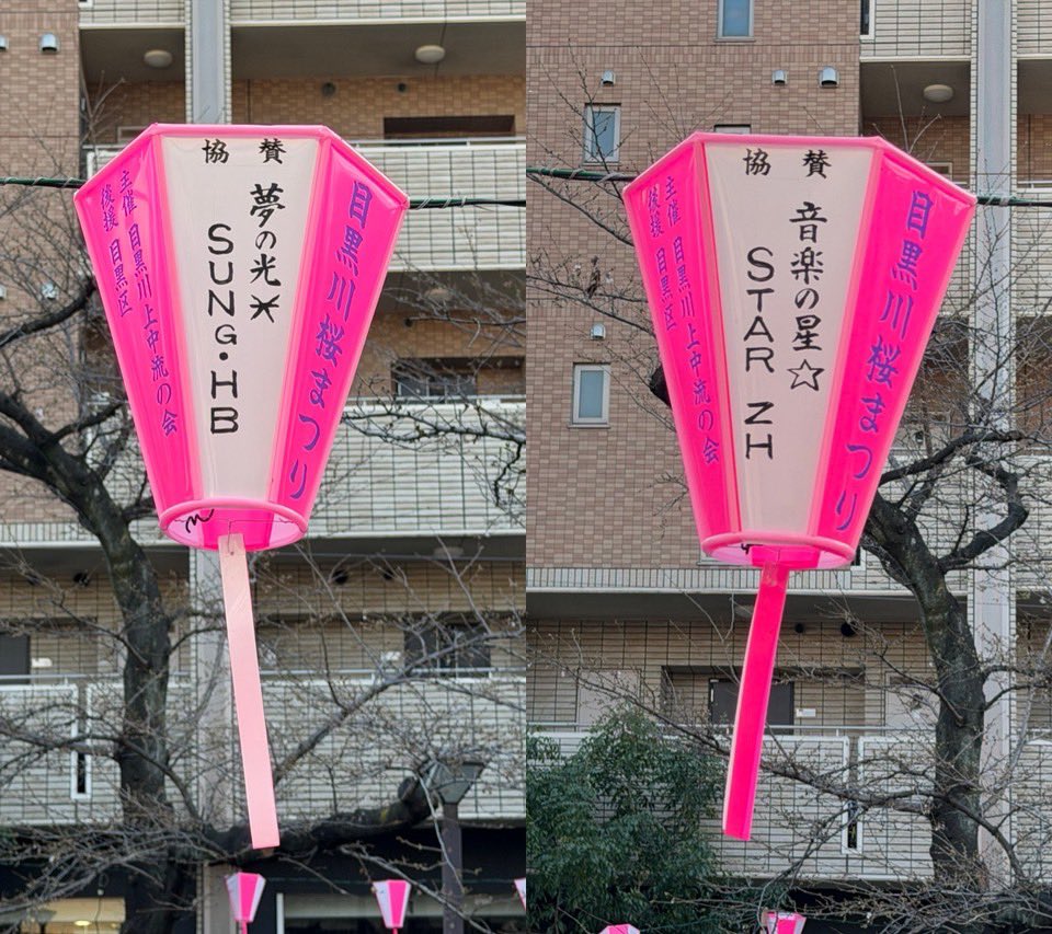 Christine21579's tweet photo. 🌸目黒川に咲く、ハオビンへの想い🌸

ハオビンのぼんぼりが目黒川を彩ります✨
中目黒と目黒駅側の2箇所に飾っているので、ぜひ見に来てください

🩵🩷二人の幸せを願って🩷🩵

📅 3/20-4/5頃
📍詳細はコメント欄へ👇

#目黒川桜まつり #ZB1
#ハンビン #ハオ #ハオビン
#SUNGHANBIN #ZHANGHAO https://t.co/ePGV53Qzi3