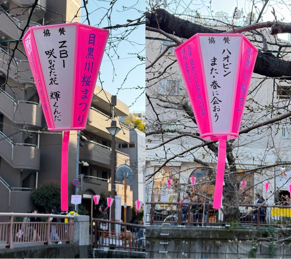 Christine21579's tweet photo. 🌸目黒川に咲く、ハオビンへの想い🌸

ハオビンのぼんぼりが目黒川を彩ります✨
中目黒と目黒駅側の2箇所に飾っているので、ぜひ見に来てください

🩵🩷二人の幸せを願って🩷🩵

📅 3/20-4/5頃
📍詳細はコメント欄へ👇

#目黒川桜まつり #ZB1
#ハンビン #ハオ #ハオビン
#SUNGHANBIN #ZHANGHAO https://t.co/ePGV53Qzi3